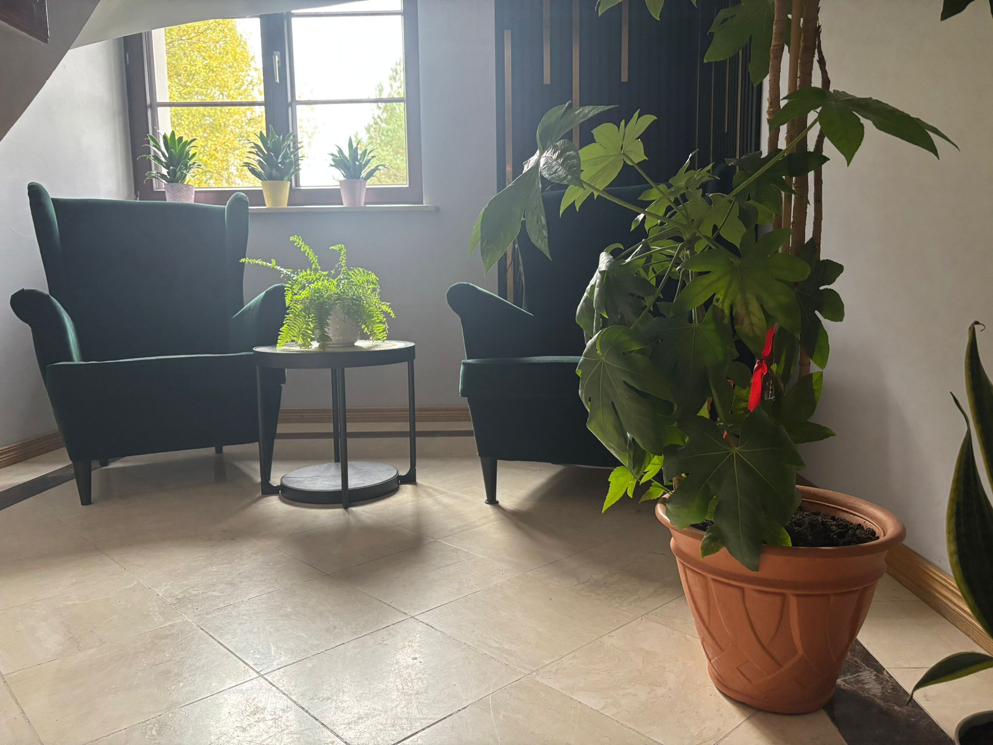 Ośrodek MyWay - sala terapeutyczna